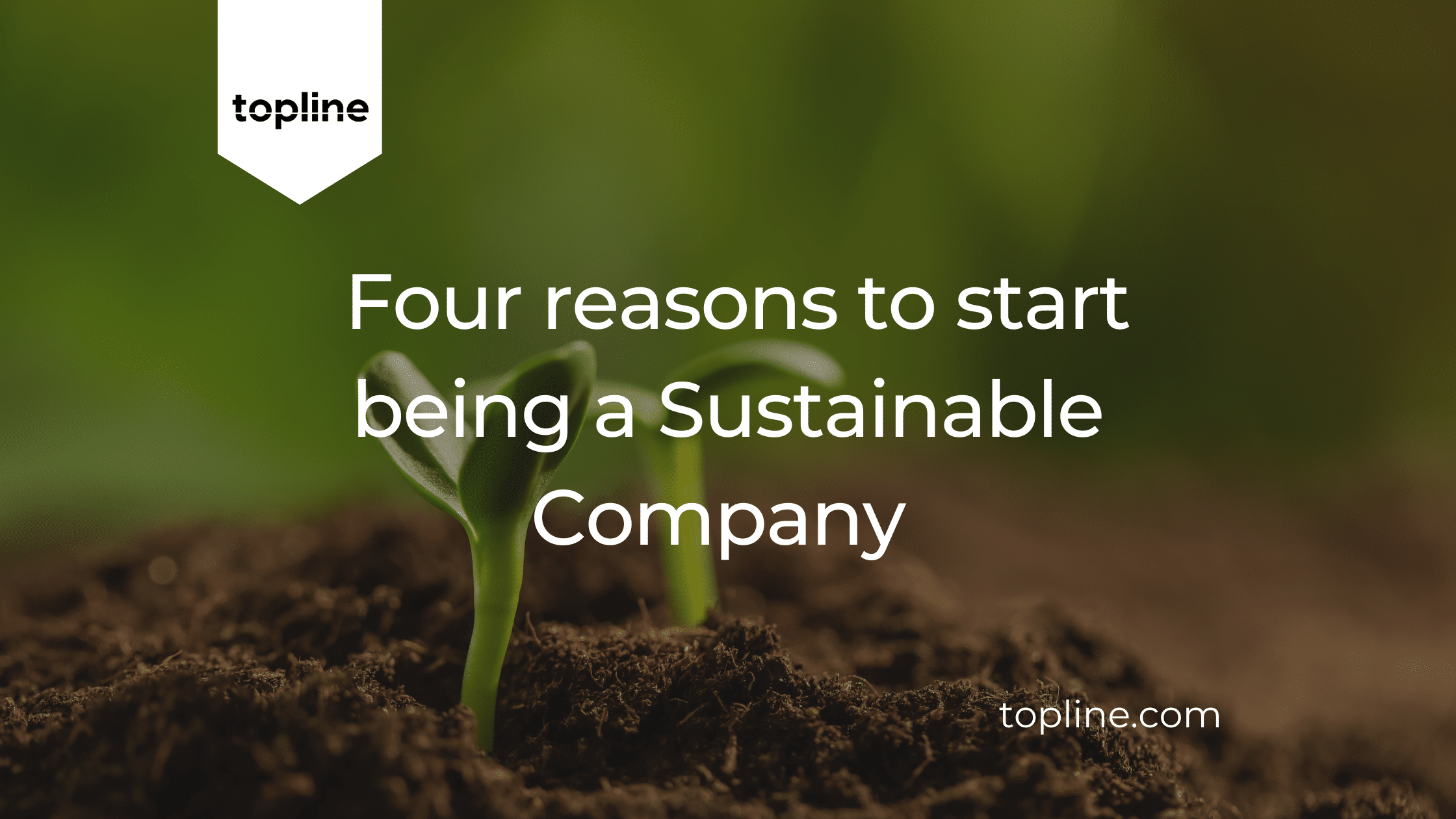 4 reasons to start being a sustainable company