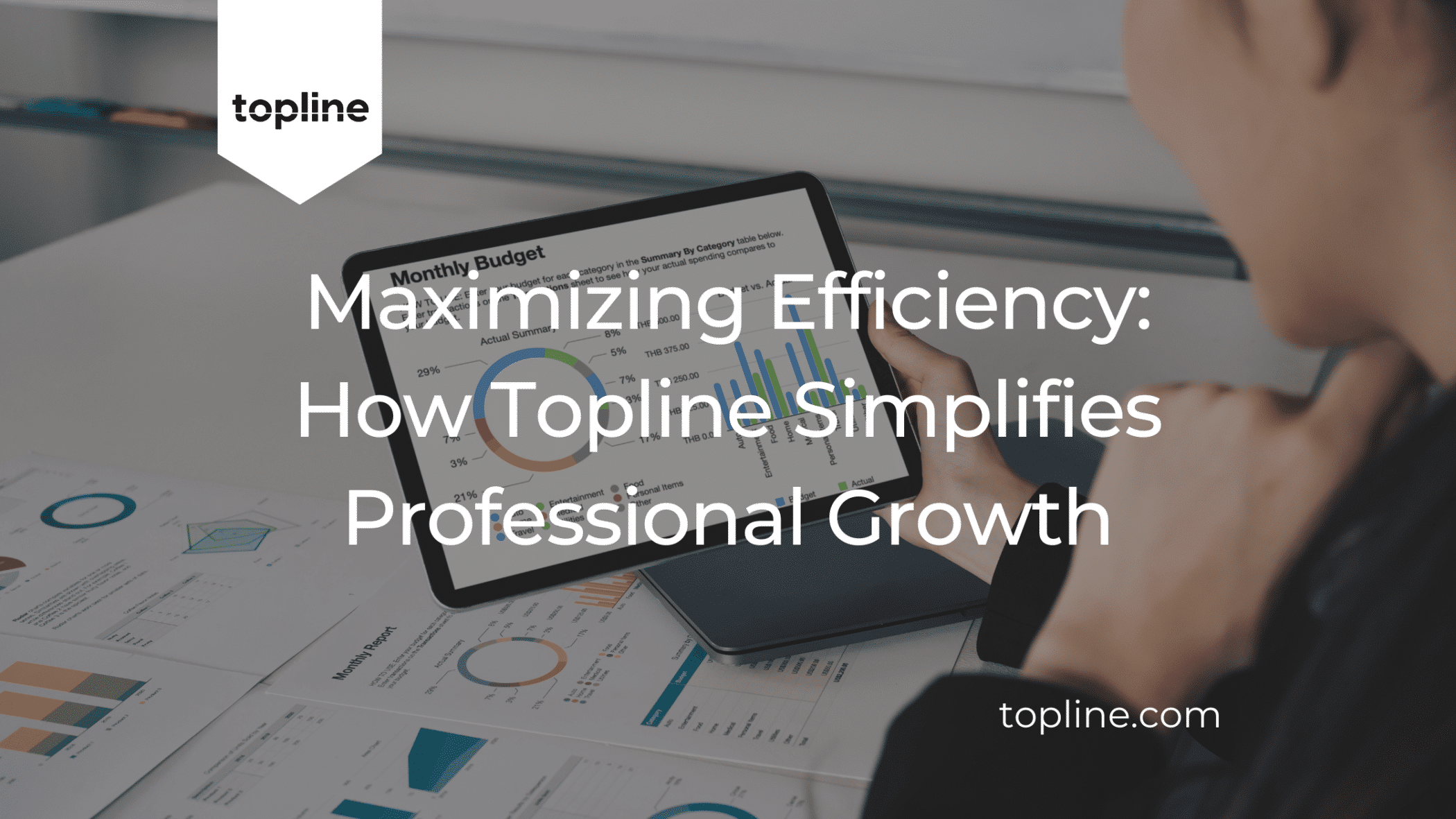 Maximizing Efficiency: How Topline Simplifies Professional Growth