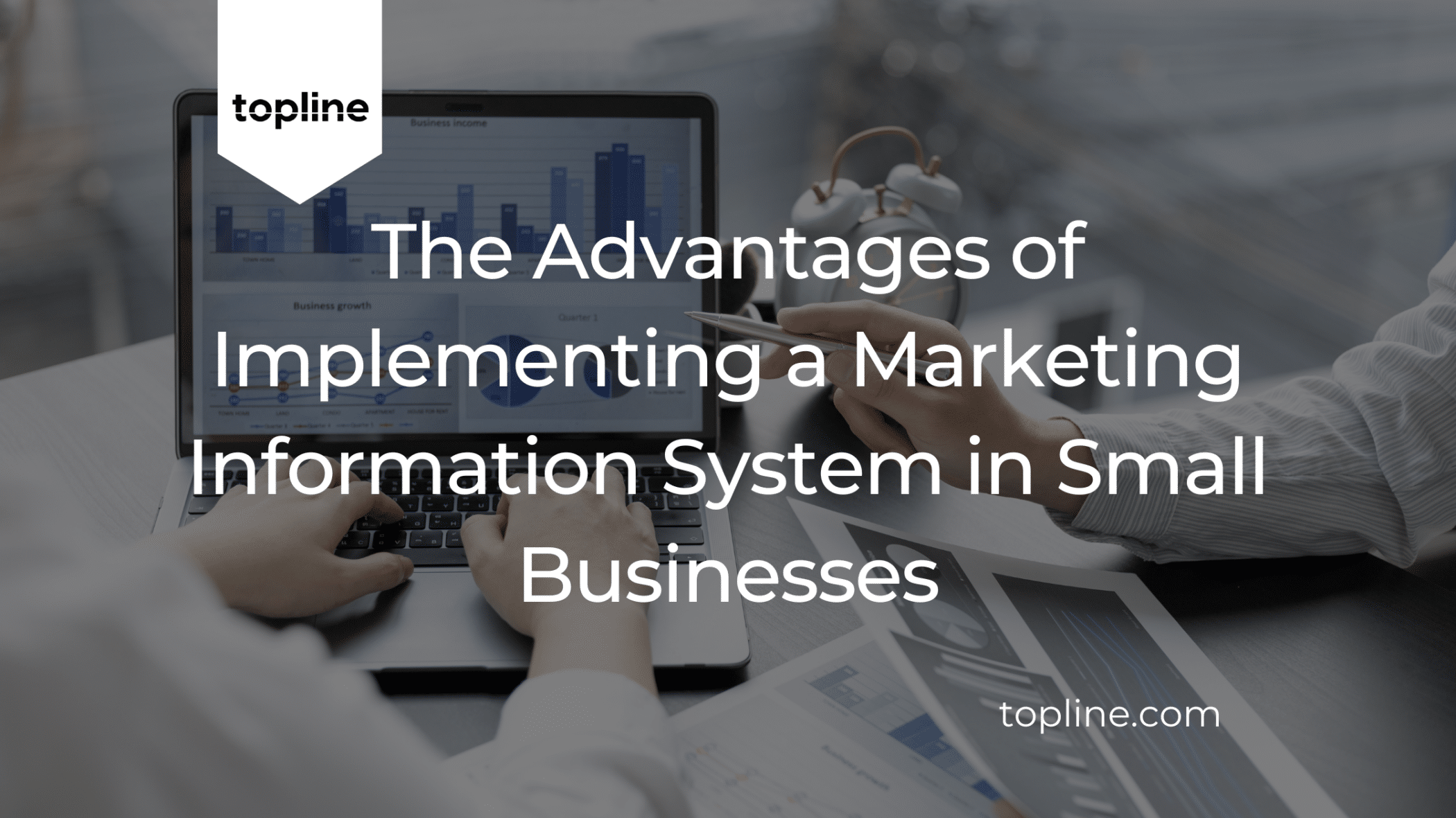 The Advantages of Implementing a Marketing Information System in a Small Businesses