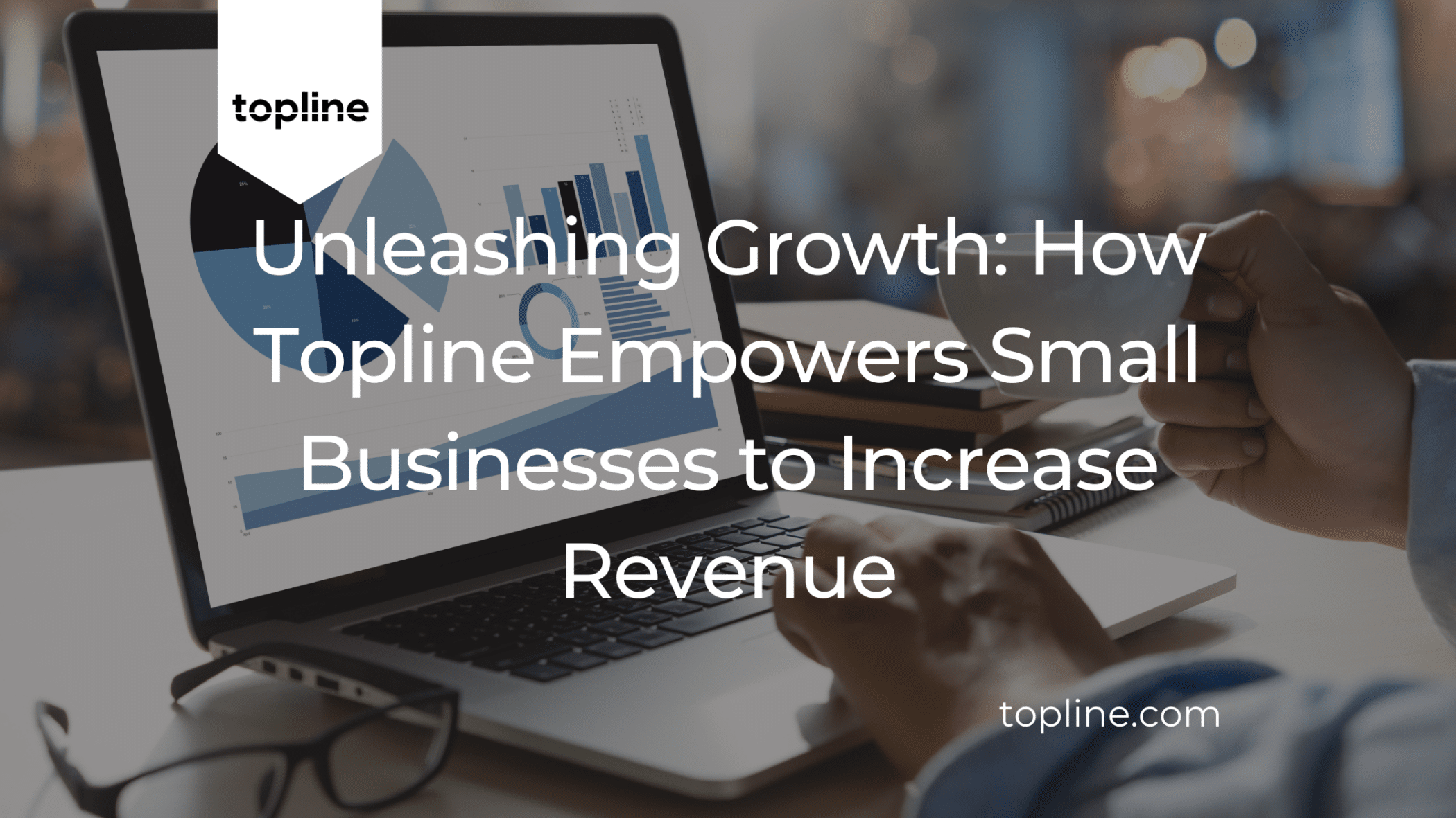 Unleashing Growth: How Topline Empowers Small Businesses to Increase Revenue
