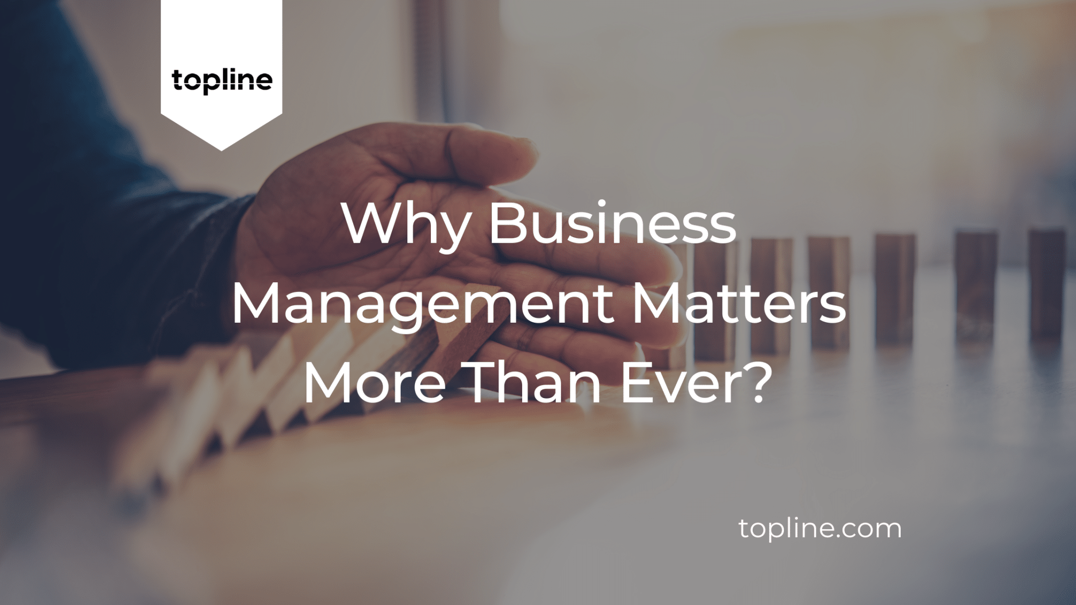 Why Business Management Matters More Than Ever?