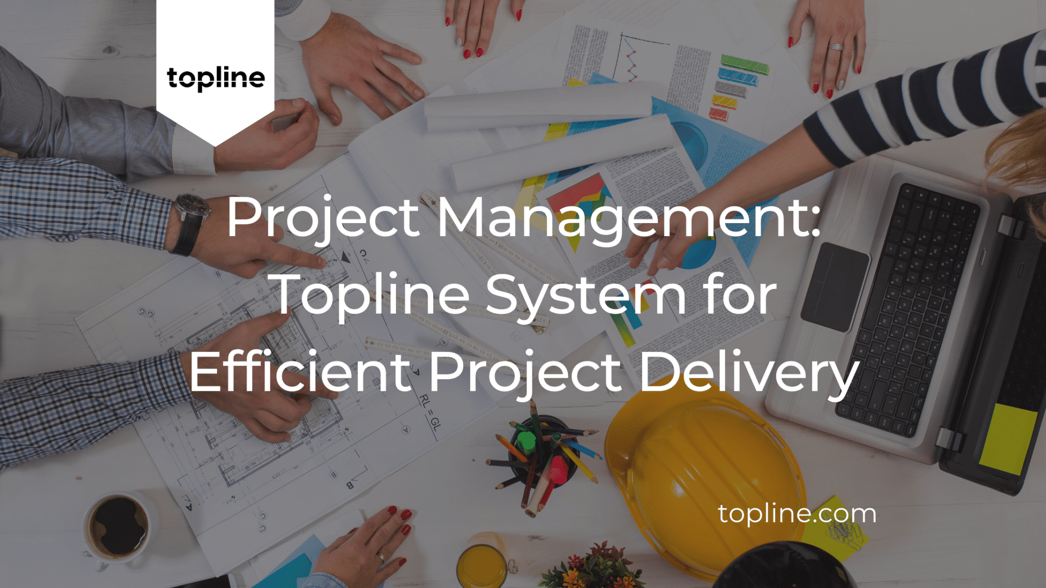 Project Management: Topline System for Efficient Project Delivery