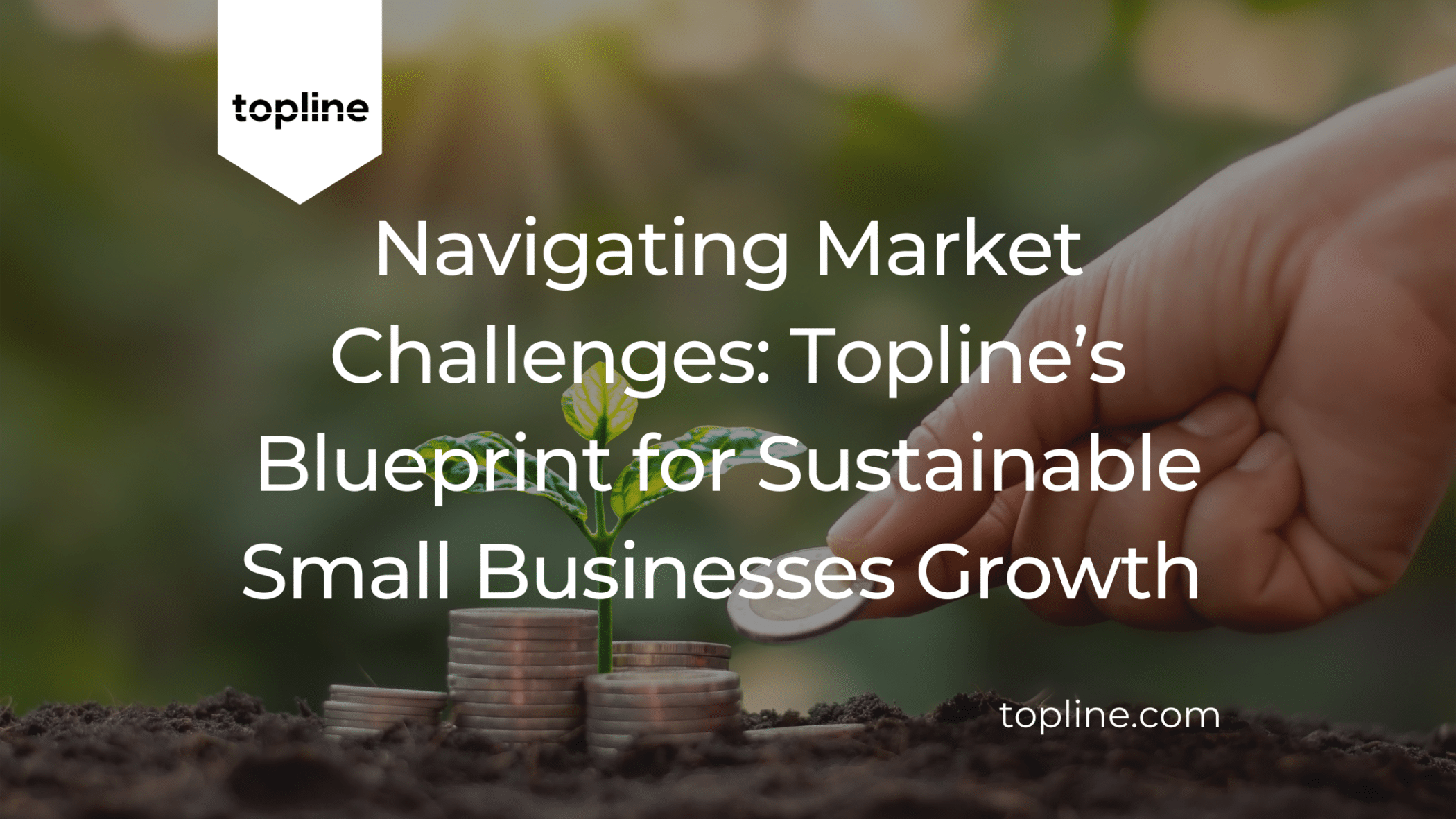 Navigating Market Challenges: Topline’s Blueprint for Sustainable Small Business Growth