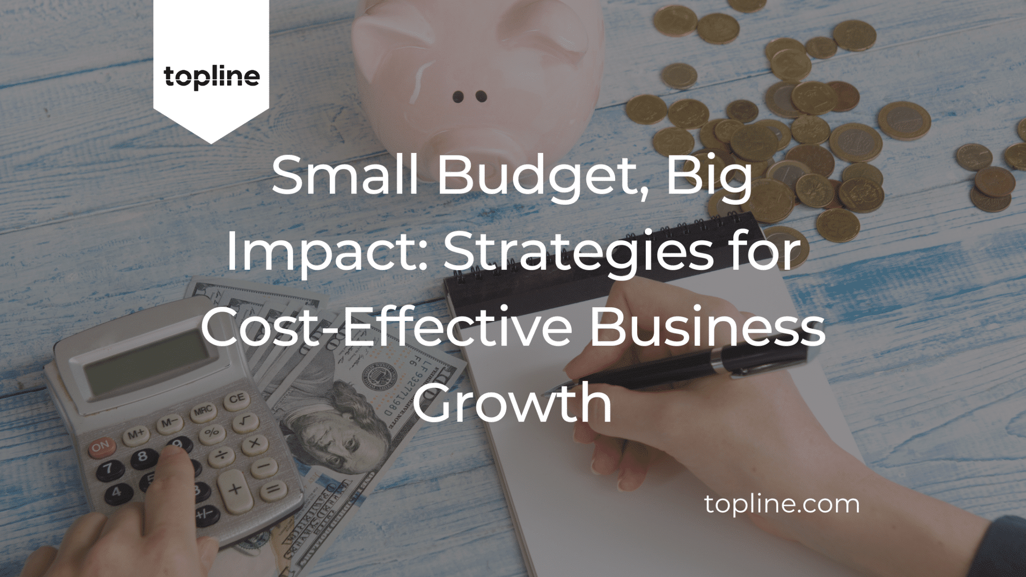 Small Budget, Big Impact: Strategies for Cost-Effective Business Growth