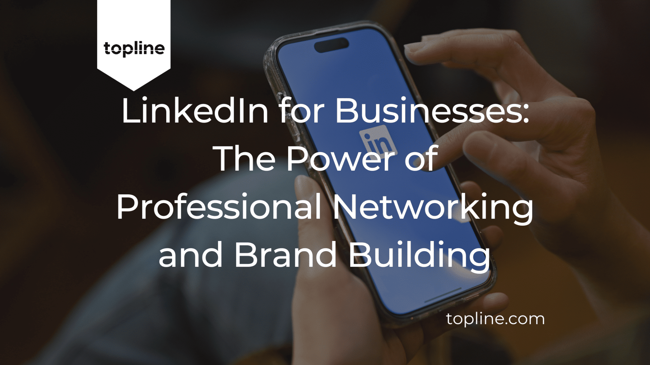 LinkedIn for Businesses: The Power of Professional Networking and Brand Building